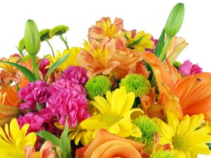 Send Flowers Billings MT