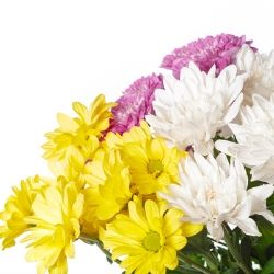 monthly special bouquets Billings MT