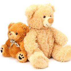 teddy bear gifts Montana